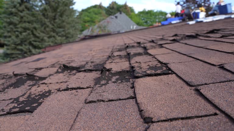 Maywood, CA Roofing Services Company